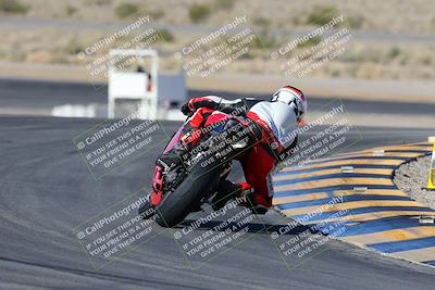 media/Feb-03-2024-SoCal Trackdays (Sat) [[767c60a41c]]/2-Turn 11 (10am)/